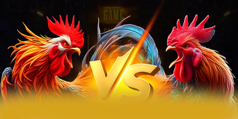 Nhận xét từ cộng đồng người chơi về 8XBET Nhận xét từ cộng đồng người chơi về 8XBET