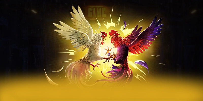 Điểm khác biệt của BET88 so với các nhà cái khác Điểm khác biệt của BET88 so với các nhà cái khác